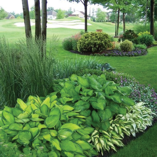 Garden Maintence Sussex Haywards Heath