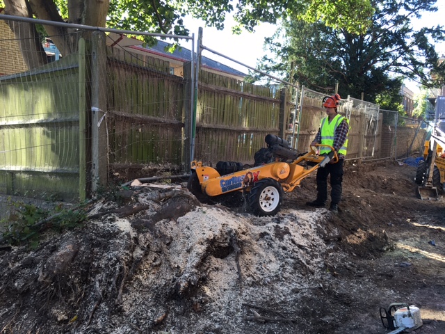 Stump Grinding Commerical Haywards Heath
