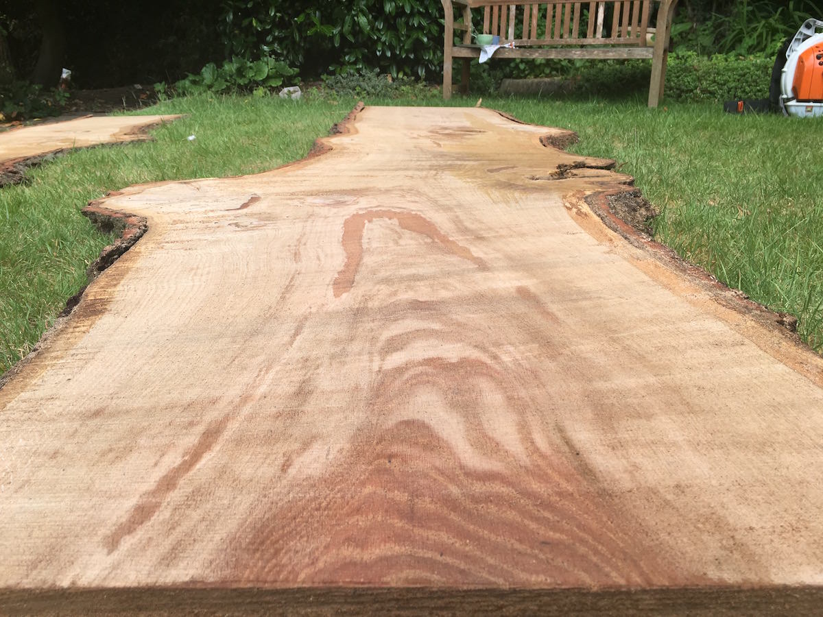 Alaskan Milling Surrey