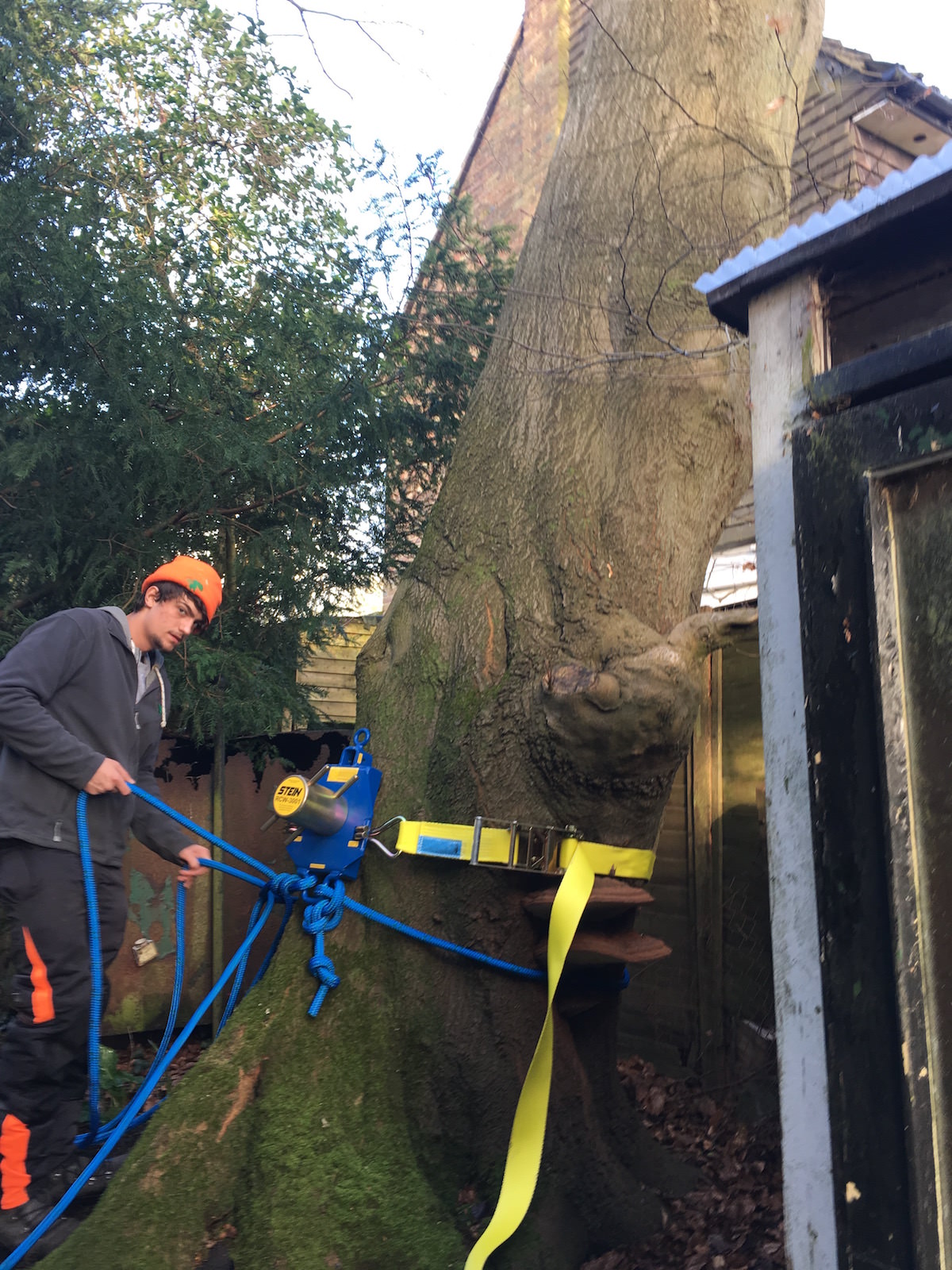 Beech Tree Haywards Heath