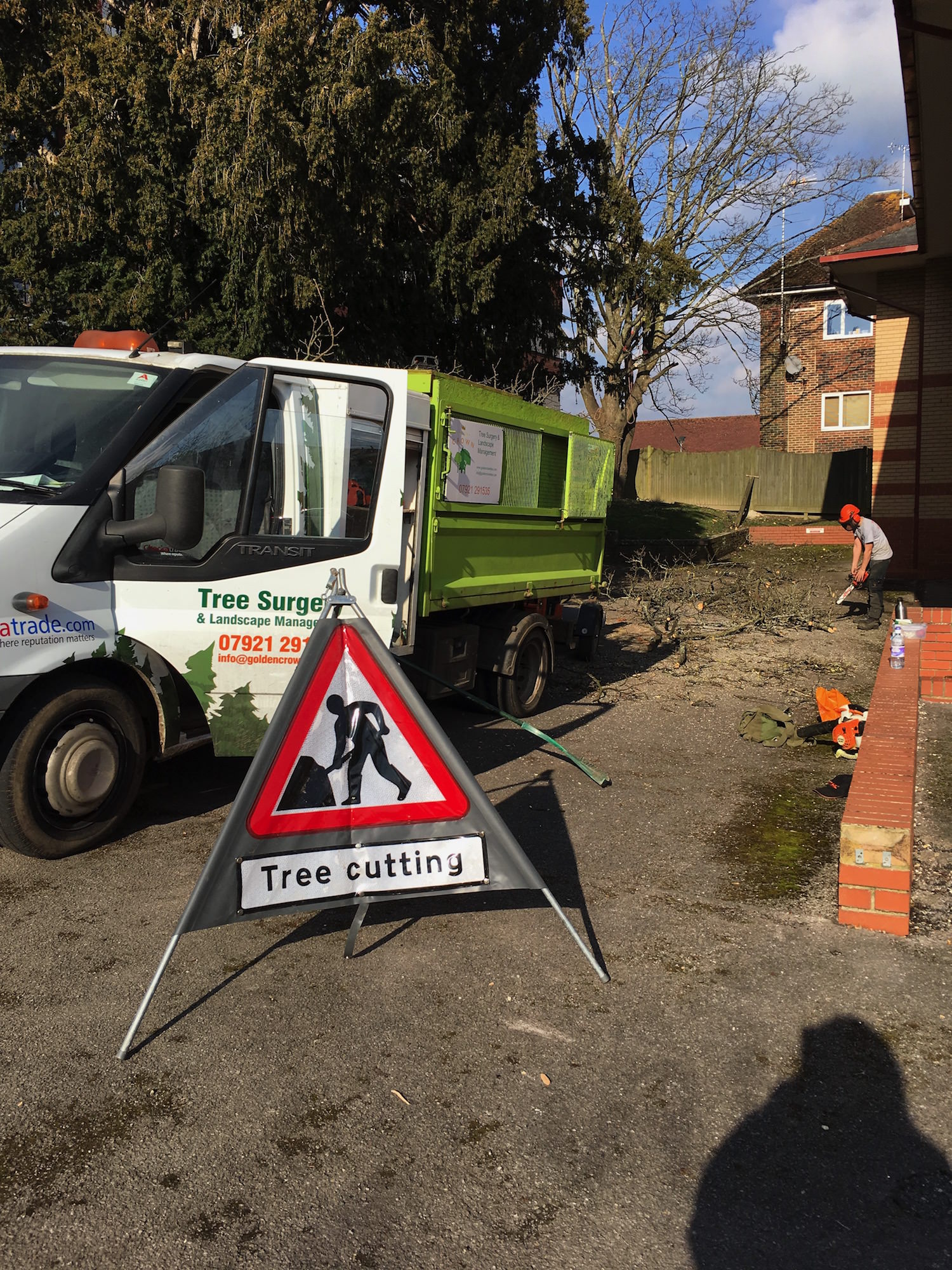 Tree Surgeon Haywards Heath